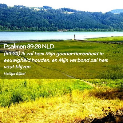 Picture 02 - Psalmen 89:28 NLD - (89:29) Ik zal hem Mijn goedertierenheid in - Bible Verse Picture