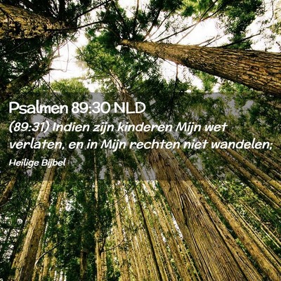 Picture 02 - Psalmen 89:30 NLD - (89:31) Indien zijn kinderen Mijn wet verlaten, - Bible Verse Picture