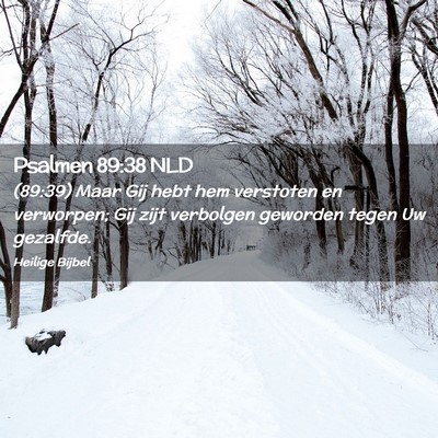 Picture 02 - Psalmen 89:38 NLD - (89:39) Maar Gij hebt hem verstoten en verworpen; - Bible Verse Picture