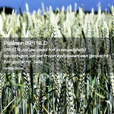 Picture 02 - Psalmen 89:4 NLD - (89:5) Ik zal uw zaad tot in eeuwigheid - Bible Verse Picture