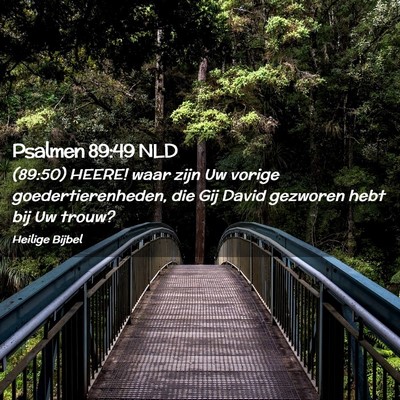 Picture 02 - Psalmen 89:49 NLD - (89:50) HEERE! waar zijn Uw vorige - Bible Verse Picture