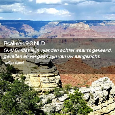 Picture 02 - Psalmen 9:3 NLD - (9:4) Omdat mijn vijanden achterwaarts gekeerd, - Bible Verse Picture