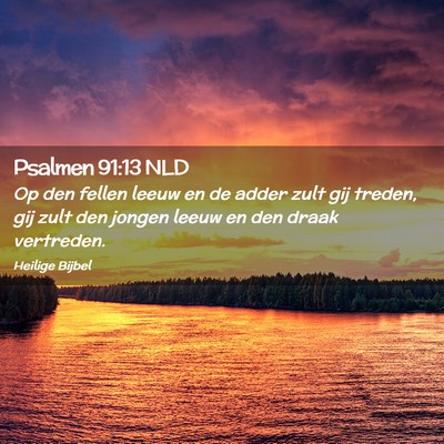 Picture 02 - Psalmen 91:13 NLD - Op den fellen leeuw en de adder zult gij treden, - Bible Verse Picture