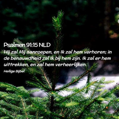 Picture 02 - Psalmen 91:15 NLD - Hij zal Mij aanroepen, en Ik zal hem verhoren; in - Bible Verse Picture