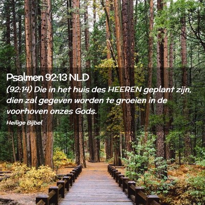 Picture 02 - Psalmen 92:13 NLD - (92:14) Die in het huis des HEEREN geplant zijn, - Bible Verse Picture