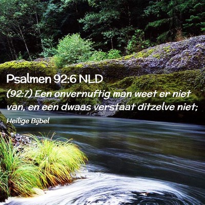 Picture 02 - Psalmen 92:6 NLD - (92:7) Een onvernuftig man weet er niet van, en - Bible Verse Picture