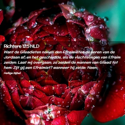 Picture 02 - Richtere 12:5 NLD - Want de Gileadieten namen den Efraimieten de - Bible Verse Picture