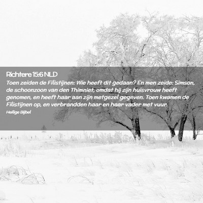Picture 02 - Richtere 15:6 NLD - Toen zeiden de Filistijnen: Wie heeft dit gedaan? - Bible Verse Picture