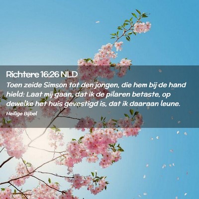 Picture 02 - Richtere 16:26 NLD - Toen zeide Simson tot den jongen, die hem bij de - Bible Verse Picture