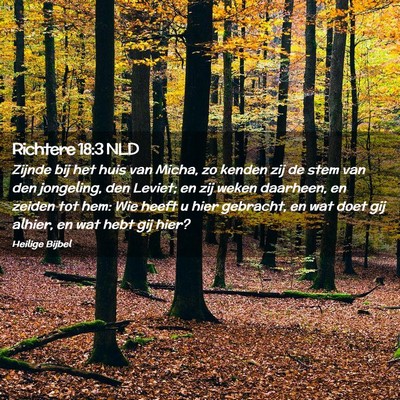 Picture 02 - Richtere 18:3 NLD - Zijnde bij het huis van Micha, zo kenden zij de - Bible Verse Picture