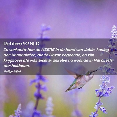 Picture 02 - Richtere 4:2 NLD - Zo verkocht hen de HEERE in de hand van Jabin, - Bible Verse Picture
