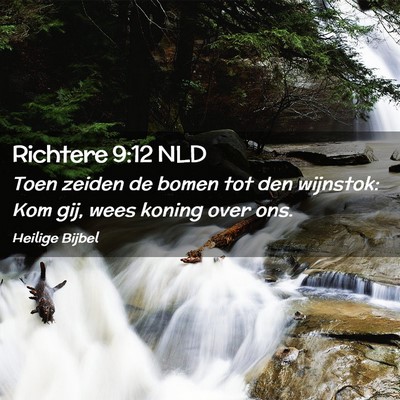 Picture 02 - Richtere 9:12 NLD - Toen zeiden de bomen tot den wijnstok: Kom gij, - Bible Verse Picture