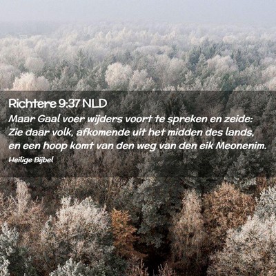 Picture 02 - Richtere 9:37 NLD - Maar Gaal voer wijders voort te spreken en zeide: - Bible Verse Picture