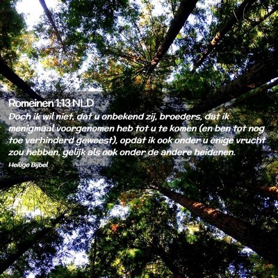 Picture 02 - Romeinen 1:13 NLD - Doch ik wil niet, dat u onbekend zij, broeders, - Bible Verse Picture