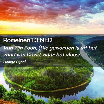 Picture 02 - Romeinen 1:3 NLD - Van Zijn Zoon, (Die geworden is uit het zaad van - Bible Verse Picture