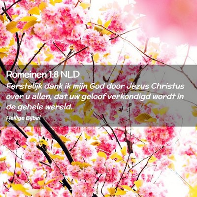 Picture 02 - Romeinen 1:8 NLD - Eerstelijk dank ik mijn God door Jezus Christus - Bible Verse Picture