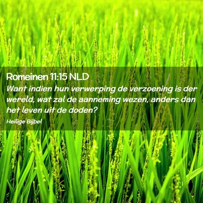 Picture 02 - Romeinen 11:15 NLD - Want indien hun verwerping de verzoening is der - Bible Verse Picture