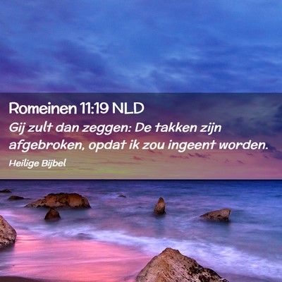 Picture 02 - Romeinen 11:19 NLD - Gij zult dan zeggen: De takken zijn afgebroken, - Bible Verse Picture