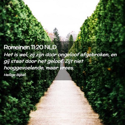 Picture 02 - Romeinen 11:20 NLD - Het is wel; zij zijn door ongeloof afgebroken, en - Bible Verse Picture