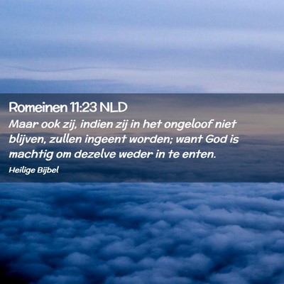 Picture 02 - Romeinen 11:23 NLD - Maar ook zij, indien zij in het ongeloof niet - Bible Verse Picture