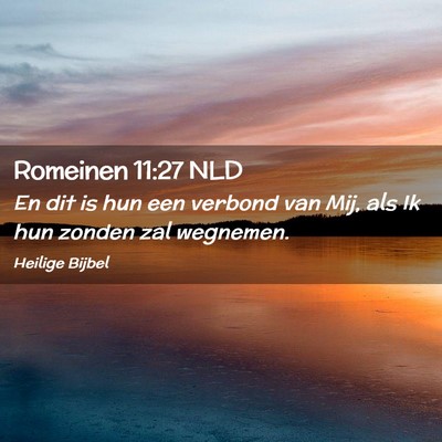 Picture 02 - Romeinen 11:27 NLD - En dit is hun een verbond van Mij, als Ik hun - Bible Verse Picture
