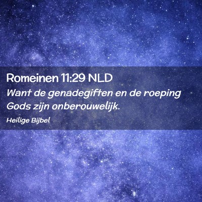 Picture 02 - Romeinen 11:29 NLD - Want de genadegiften en de roeping Gods zijn - Bible Verse Picture