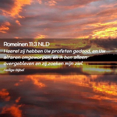Picture 02 - Romeinen 11:3 NLD - Heere! zij hebben Uw profeten gedood, en Uw - Bible Verse Picture