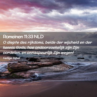 Picture 02 - Romeinen 11:33 NLD - O diepte des rijkdoms, beide der wijsheid en der - Bible Verse Picture