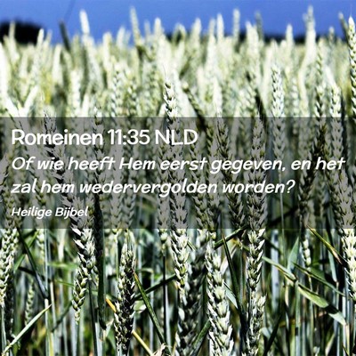 Picture 02 - Romeinen 11:35 NLD - Of wie heeft Hem eerst gegeven, en het zal hem - Bible Verse Picture