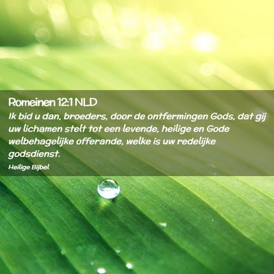 Picture 02 - Romeinen 12:1 NLD - Ik bid u dan, broeders, door de ontfermingen - Bible Verse Picture