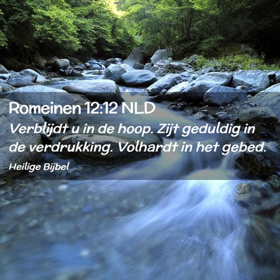 Picture 02 - Romeinen 12:12 NLD - Verblijdt u in de hoop. Zijt geduldig in de - Bible Verse Picture