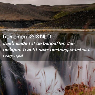 Picture 02 - Romeinen 12:13 NLD - Deelt mede tot de behoeften der heiligen. Tracht - Bible Verse Picture