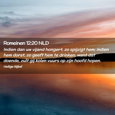 Picture 02 - Romeinen 12:20 NLD - Indien dan uw vijand hongert, zo spijzigt hem; - Bible Verse Picture