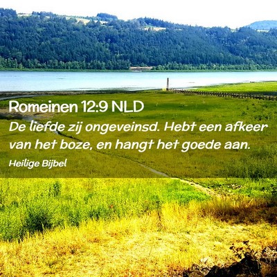 Picture 02 - Romeinen 12:9 NLD - De liefde zij ongeveinsd. Hebt een afkeer van het - Bible Verse Picture