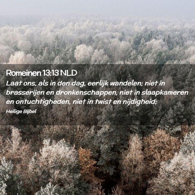 Picture 02 - Romeinen 13:13 NLD - Laat ons, als in den dag, eerlijk wandelen; niet - Bible Verse Picture
