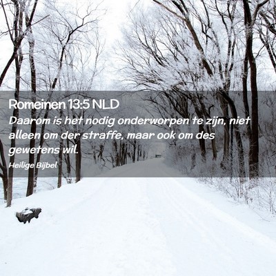 Picture 02 - Romeinen 13:5 NLD - Daarom is het nodig onderworpen te zijn, niet - Bible Verse Picture