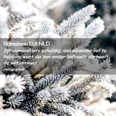Picture 02 - Romeinen 13:8 NLD - Zijt niemand iets schuldig, dan elkander lief te - Bible Verse Picture