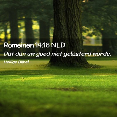 Picture 02 - Romeinen 14:16 NLD - Dat dan uw goed niet gelasterd - Bible Verse Picture