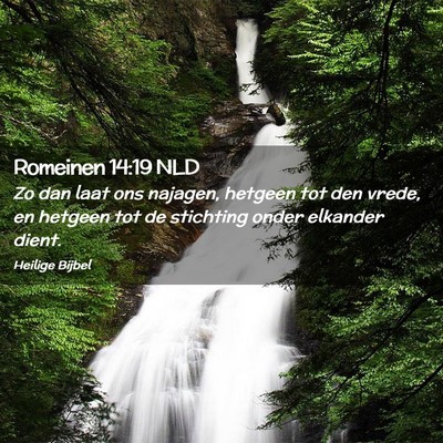 Picture 02 - Romeinen 14:19 NLD - Zo dan laat ons najagen, hetgeen tot den vrede, - Bible Verse Picture