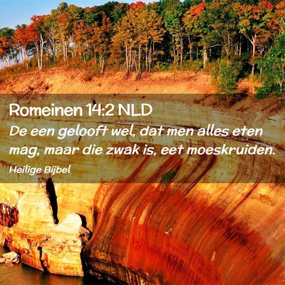 Picture 02 - Romeinen 14:2 NLD - De een gelooft wel, dat men alles eten mag, maar - Bible Verse Picture