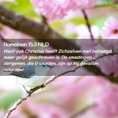 Picture 02 - Romeinen 15:3 NLD - Want ook Christus heeft Zichzelven niet behaagd, - Bible Verse Picture
