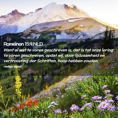 Picture 02 - Romeinen 15:4 NLD - Want al wat te voren geschreven is, dat is tot - Bible Verse Picture
