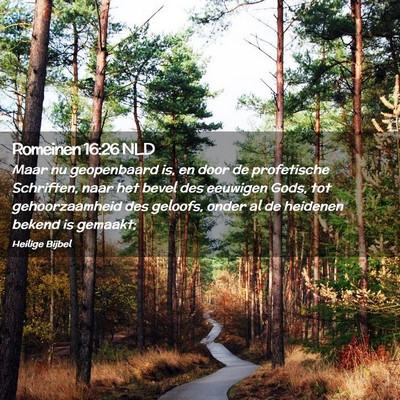 Picture 02 - Romeinen 16:26 NLD - Maar nu geopenbaard is, en door de profetische - Bible Verse Picture