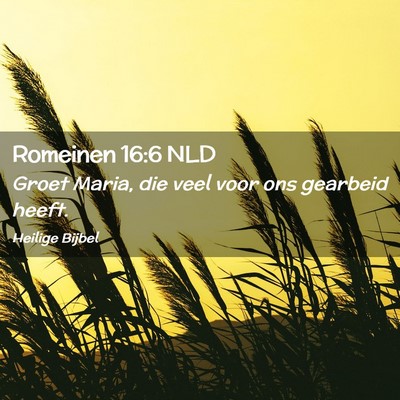Picture 02 - Romeinen 16:6 NLD - Groet Maria, die veel voor ons gearbeid - Bible Verse Picture