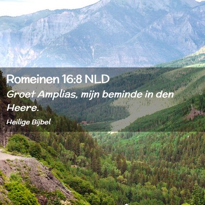 Picture 02 - Romeinen 16:8 NLD - Groet Amplias, mijn beminde in den - Bible Verse Picture