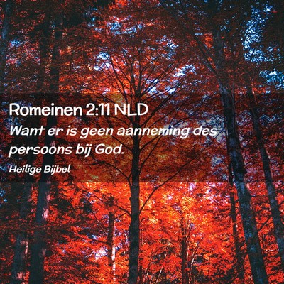 Picture 02 - Romeinen 2:11 NLD - Want er is geen aanneming des persoons bij - Bible Verse Picture