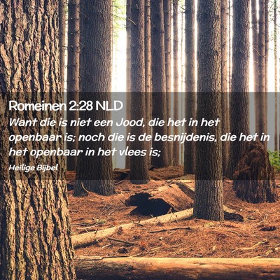 Picture 02 - Romeinen 2:28 NLD - Want die is niet een Jood, die het in het - Bible Verse Picture