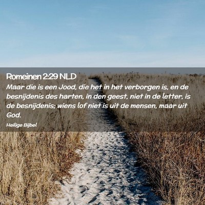 Picture 02 - Romeinen 2:29 NLD - Maar die is een Jood, die het in het verborgen - Bible Verse Picture