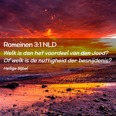 Picture 02 - Romeinen 3:1 NLD - Welk is dan het voordeel van den Jood? Of welk is - Bible Verse Picture