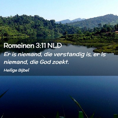 Picture 02 - Romeinen 3:11 NLD - Er is niemand, die verstandig is, er is niemand, - Bible Verse Picture